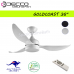 Lights & Ceiling Fans