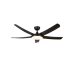 Lights & Ceiling Fans