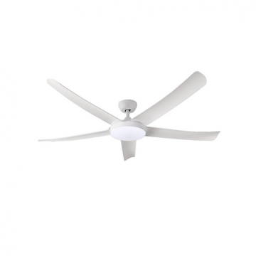 Lights & Ceiling Fans