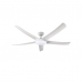 Lights & Ceiling Fans