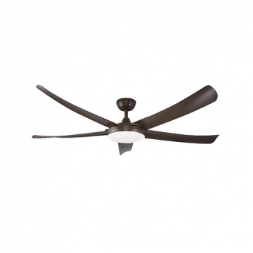 Lights & Ceiling Fans
